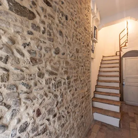 A Nest Among The Roof Of Center *