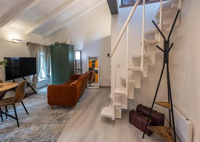 A Nest Among The Roof Of Center *