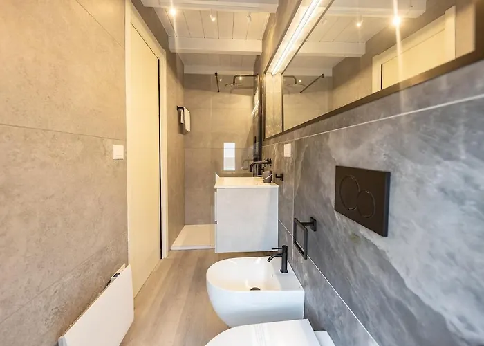 A Nest Among The Roof Of Center * Parma