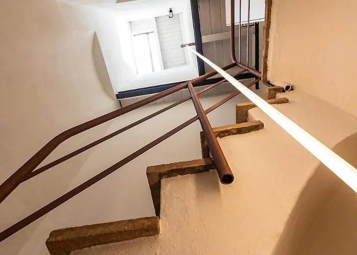 A Nest Among The Roof Of Center