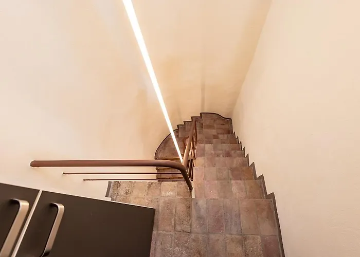 A Nest Among The Roof Of Center Apartamento