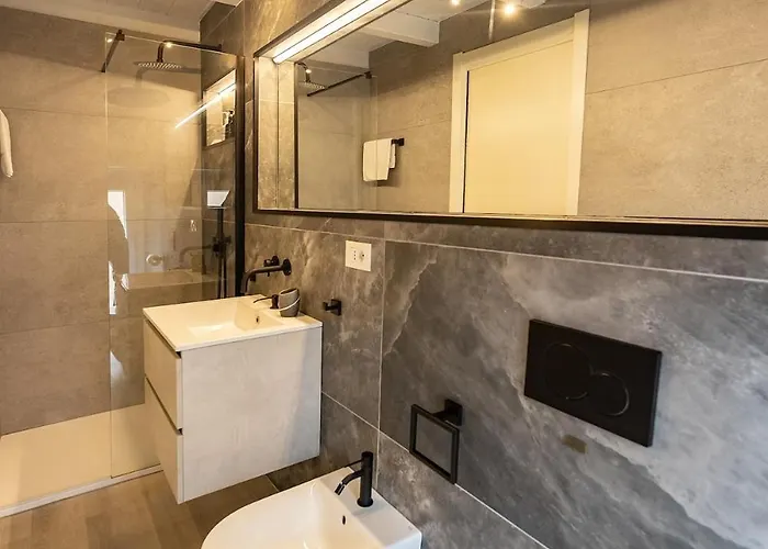 A Nest Among The Roof Of Center * Parma